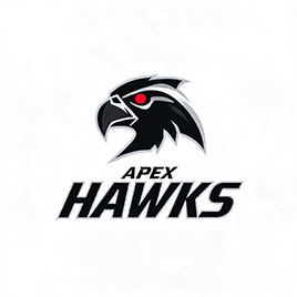 hawk head icon paired with a compact italic team wordmark